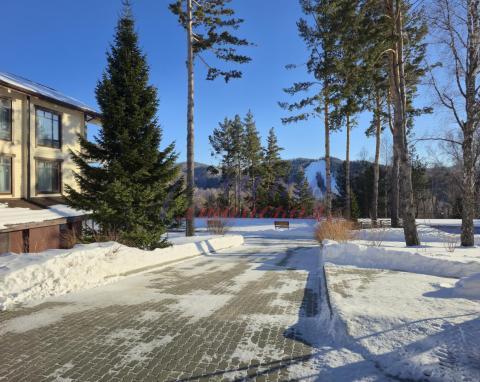 2026-01-11 15-22-29.JPG