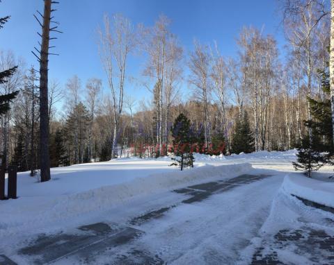 2026-01-11 15-38-06.JPG