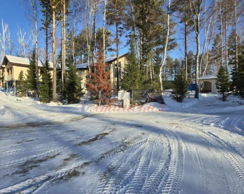 2026-01-11 15-38-52.JPG