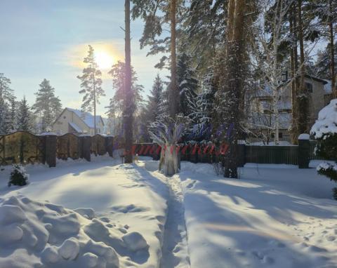 2026-01-25 13-35-05.JPG