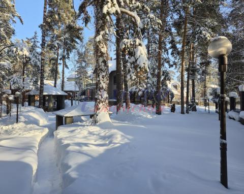 2026-01-25 13-37-38.JPG