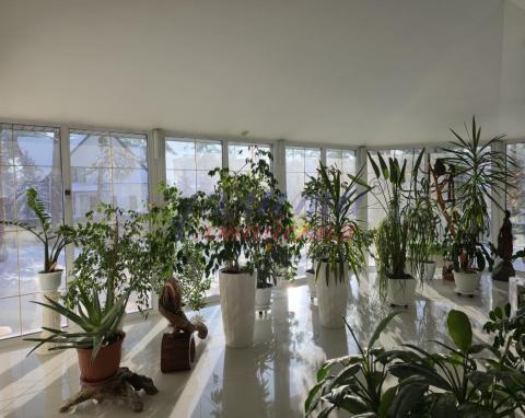 2026-01-25 12-05-16.JPG