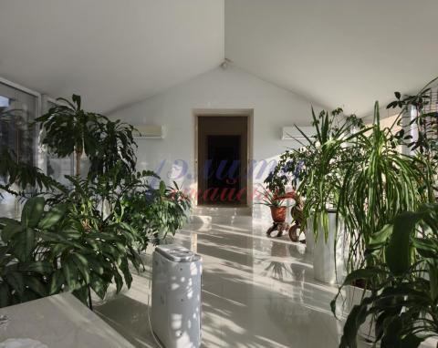 2026-01-25 12-05-40.JPG