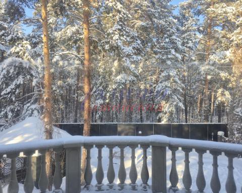 2026-01-25 12-36-33.JPG