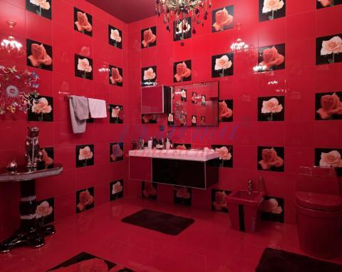 2026-01-25 12-45-58.JPG