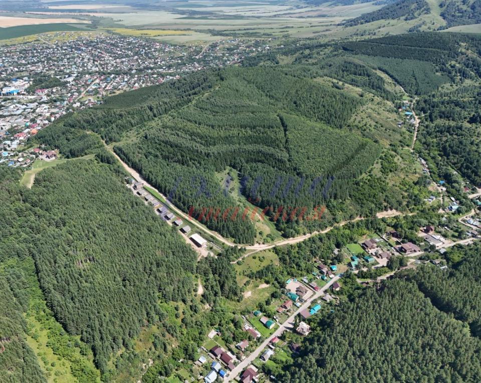 Уникальные коттеджи на Алтае в Белокурихе